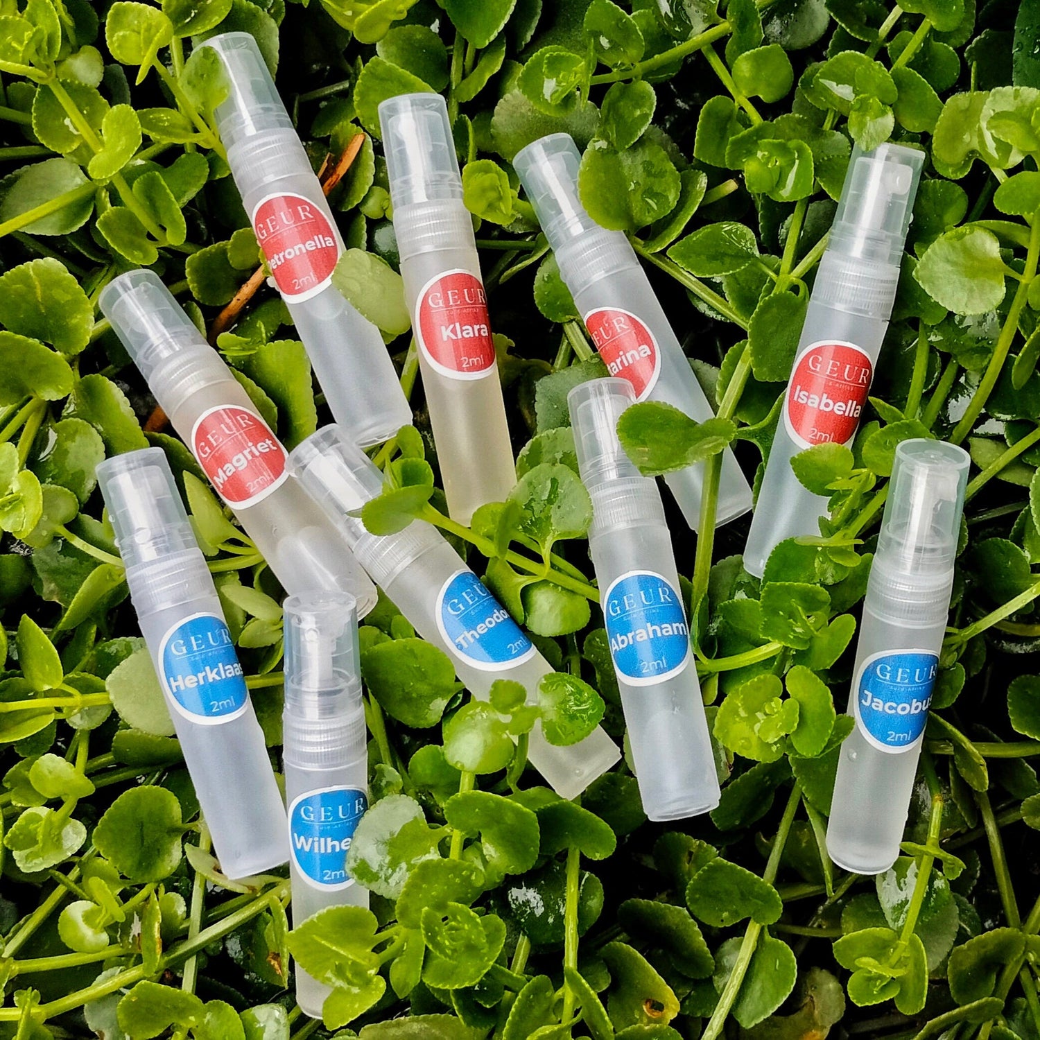Ontdek GEUR (Samples)